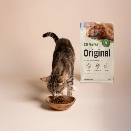 Katt som äter mat ur foderskål. FirstVet Original kattfoder påse i bakgrunden.