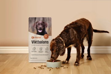 En hund som äter ur en skål med Firstvet Viktbalans
