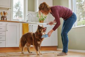 En kvinna fyller en skål med FirstVet Original hundfoder åt en hund i ett kök. Hunden står bredvid och ser på förväntansfullt.