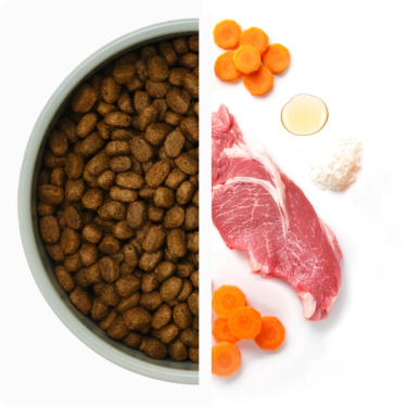 Skål med torrfoder till vänster och råvaror till höger, inklusive morötter, lamm, fiskolja och ris.